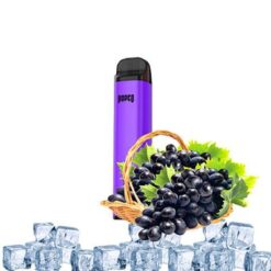 Rodeo Pod 1 Lần Nho Lạnh Grape Ice